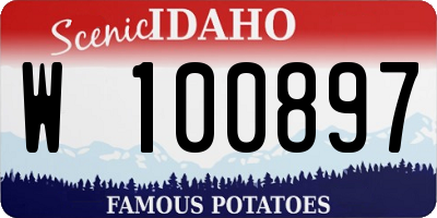 ID license plate W100897