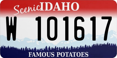 ID license plate W101617