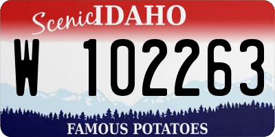 ID license plate W102263