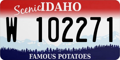 ID license plate W102271