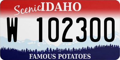 ID license plate W102300