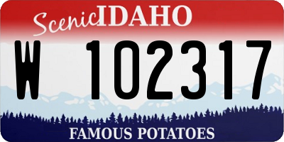 ID license plate W102317