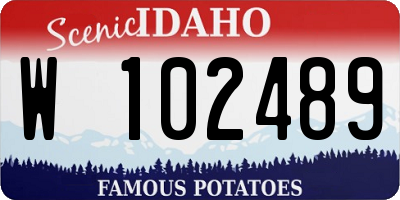 ID license plate W102489