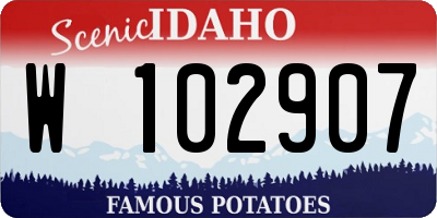 ID license plate W102907
