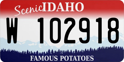 ID license plate W102918