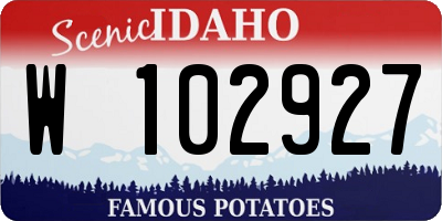 ID license plate W102927