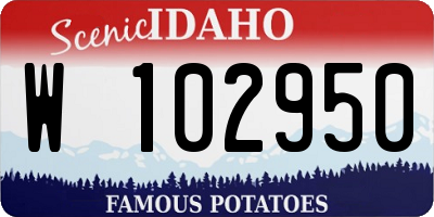 ID license plate W102950