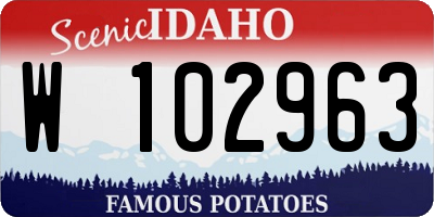 ID license plate W102963