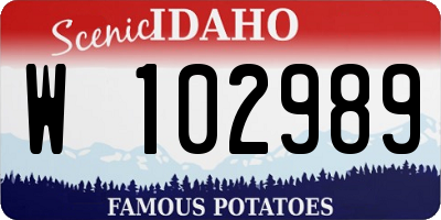 ID license plate W102989