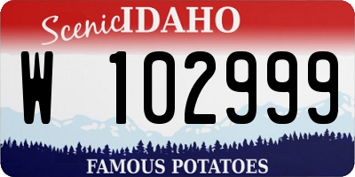 ID license plate W102999