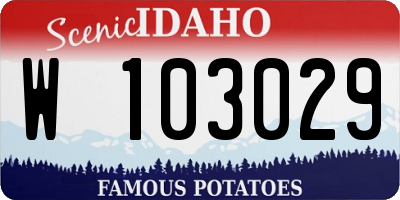 ID license plate W103029