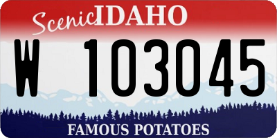 ID license plate W103045