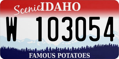 ID license plate W103054