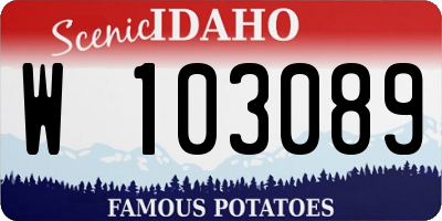 ID license plate W103089