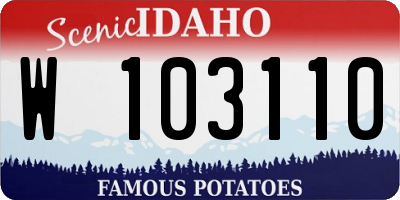 ID license plate W103110