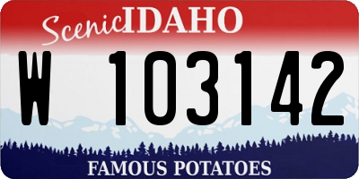 ID license plate W103142