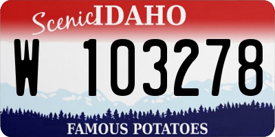 ID license plate W103278