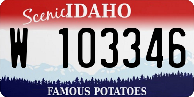 ID license plate W103346