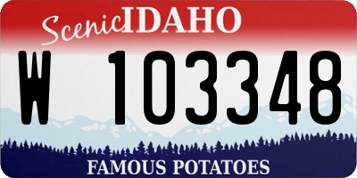 ID license plate W103348