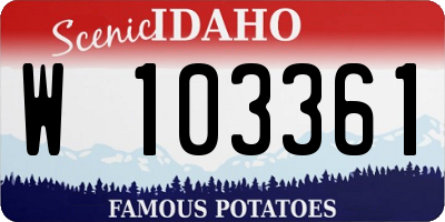 ID license plate W103361