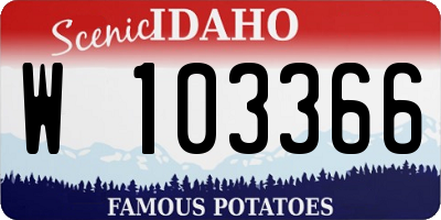ID license plate W103366