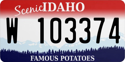 ID license plate W103374
