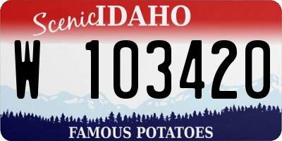 ID license plate W103420