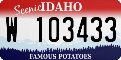 ID license plate W103433