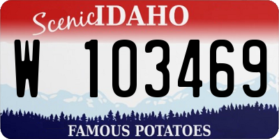 ID license plate W103469