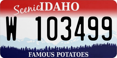ID license plate W103499