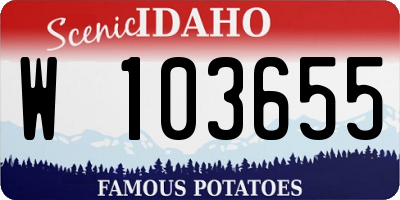 ID license plate W103655