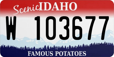 ID license plate W103677