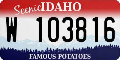 ID license plate W103816