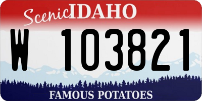 ID license plate W103821