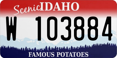 ID license plate W103884