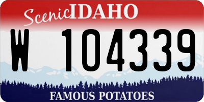ID license plate W104339