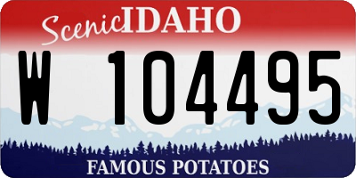 ID license plate W104495