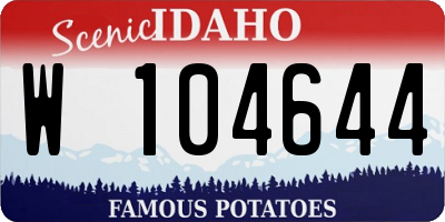 ID license plate W104644