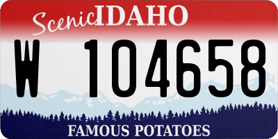 ID license plate W104658
