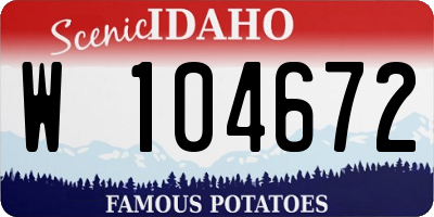 ID license plate W104672