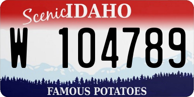 ID license plate W104789