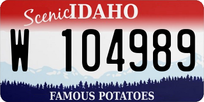 ID license plate W104989