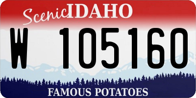 ID license plate W105160