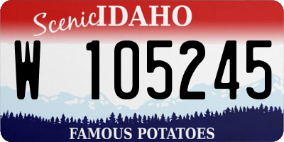 ID license plate W105245