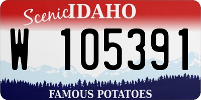 ID license plate W105391