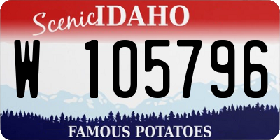 ID license plate W105796