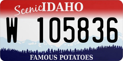 ID license plate W105836