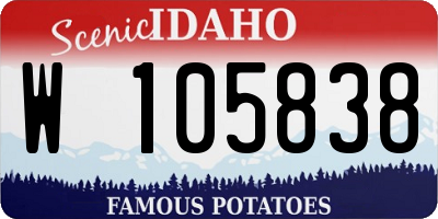 ID license plate W105838
