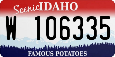 ID license plate W106335