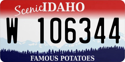 ID license plate W106344